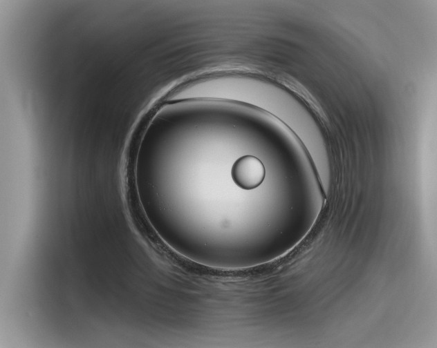 X0000115510436200911131344