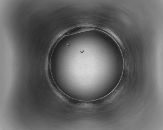 X0000115510437200911131344