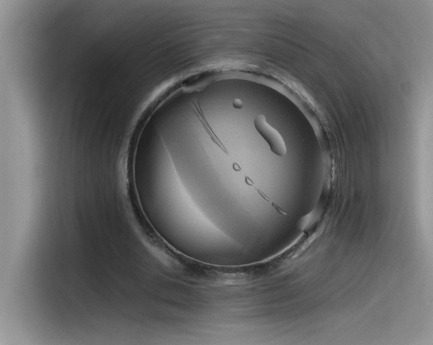 X0000115510438200911131344