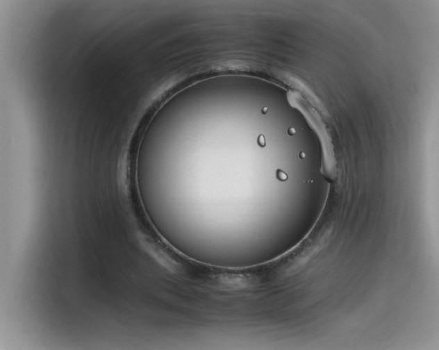 X0000115510439200911131344