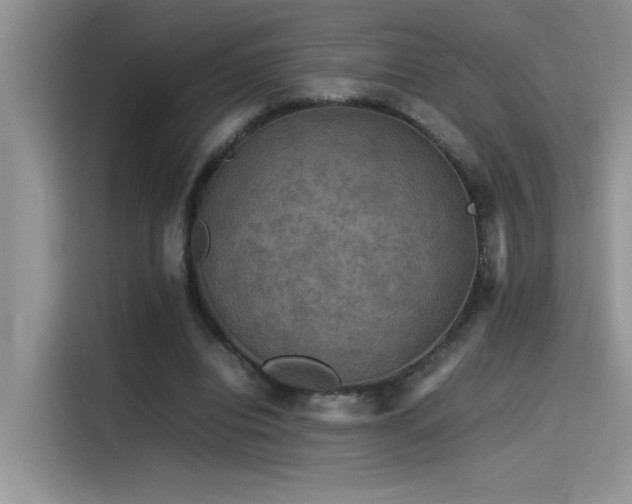 X0000115510440200911131344