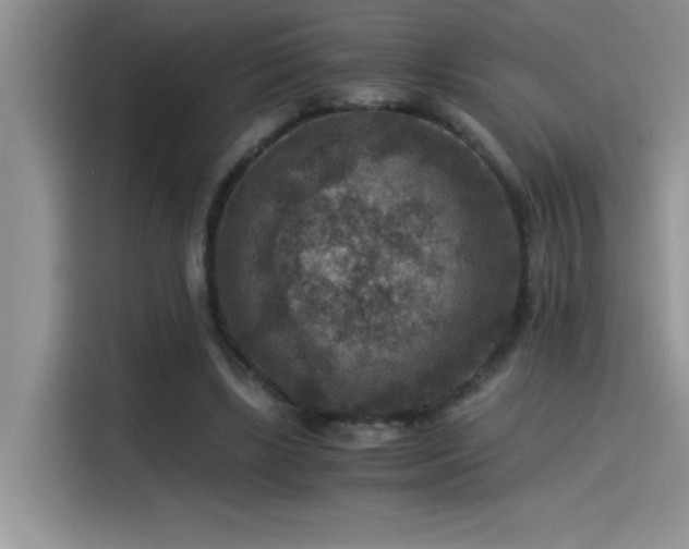 X0000115510443200911131344