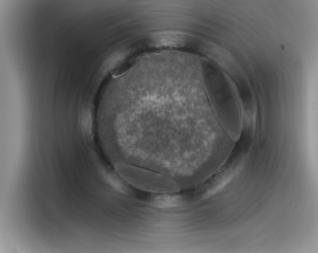 X0000115510444200911131344