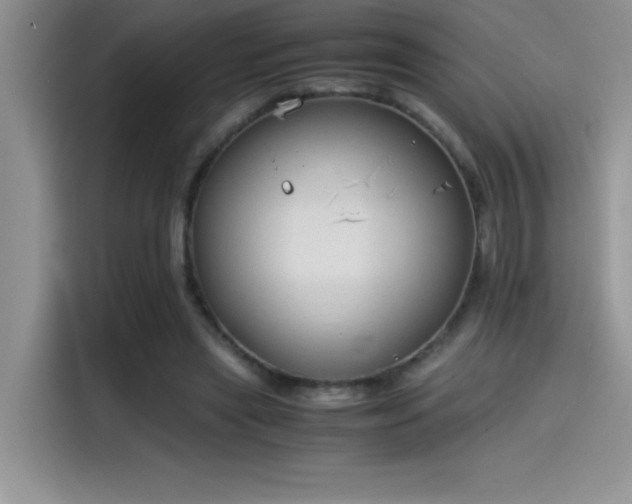 X0000115510445200911131344