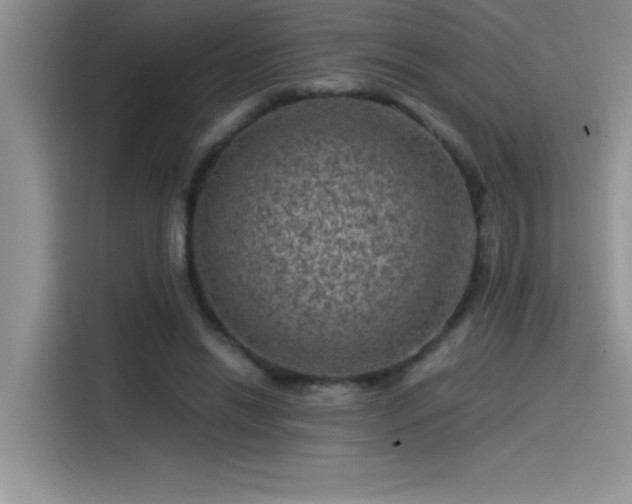 X0000115510446200911131344