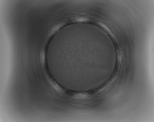 X0000115510447200911131344