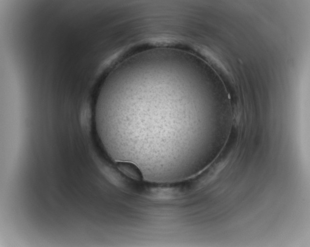 X0000115510448200911131344