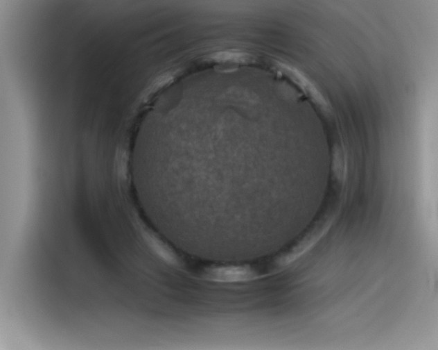 X0000115510449200911131344