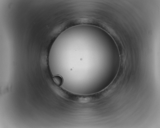 X0000115510450200911131344