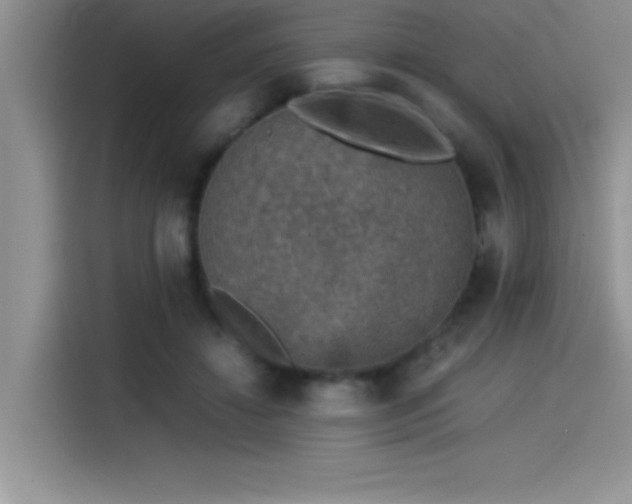 X0000115510452200911131344