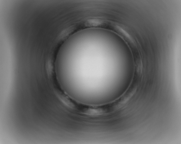 X0000115510455200911131344