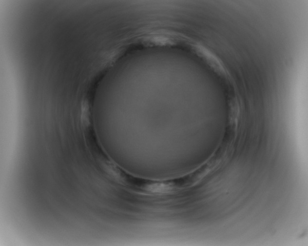 X0000115510465200911131344