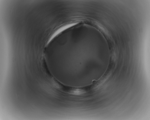 X0000115510467200911131344