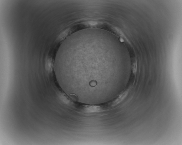 X0000115510476200911131344