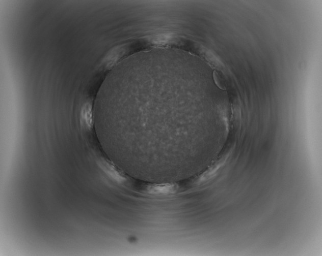 X0000115510479200911131344