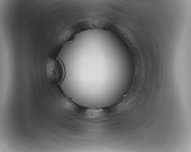 X0000115510480200911131344