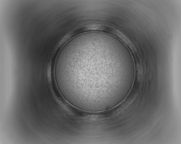 X0000115510482200911131344