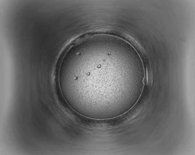 X0000115510483200911131344