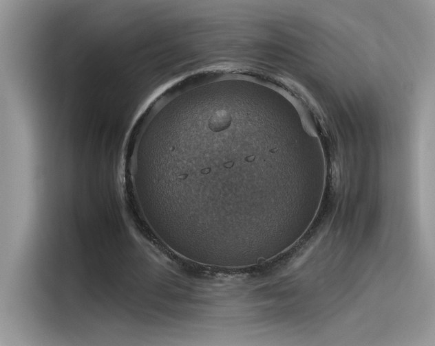 X0000115510484200911131344