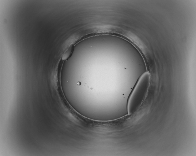 X0000115510485200911131344