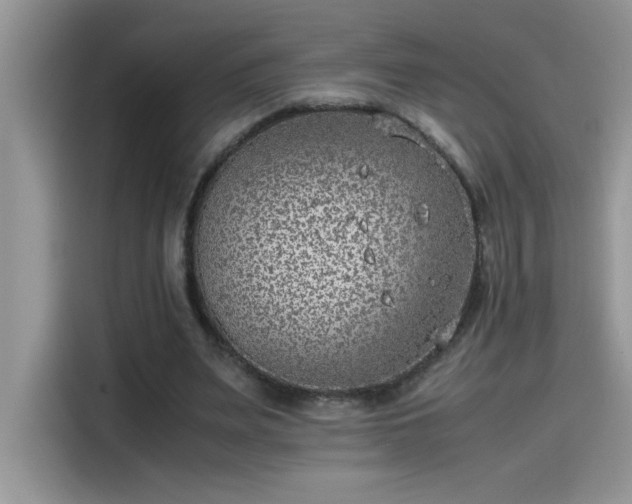 X0000115510487200911131344