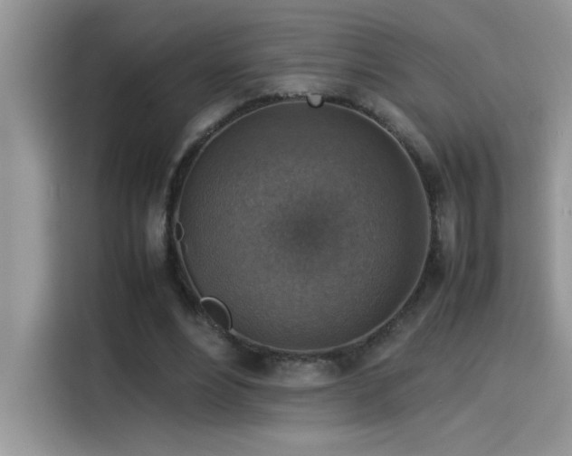 X0000115510488200911131344