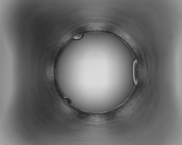 X0000115510489200911131344