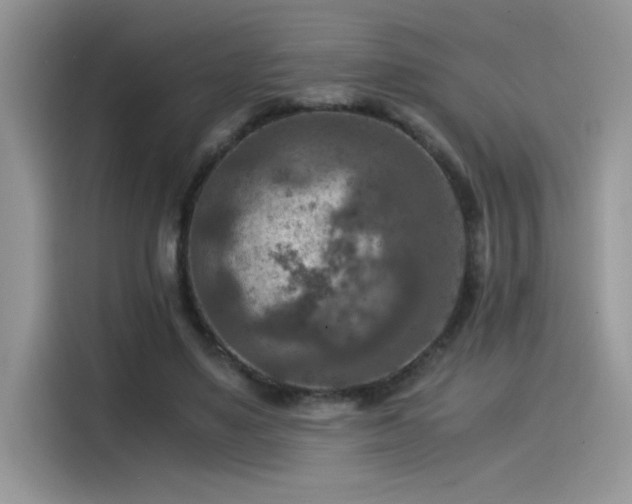 X0000115510491200911131344