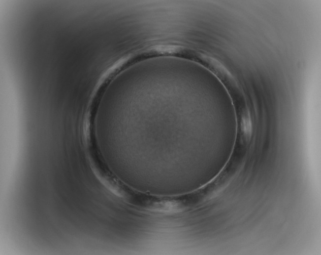 X0000115510492200911131344