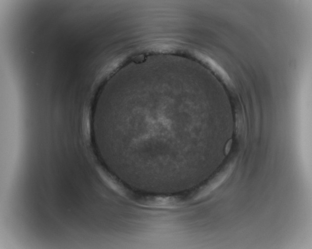 X0000115510493200911131344