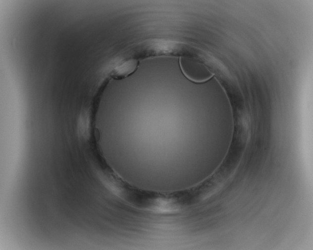 X0000115510496200911131344