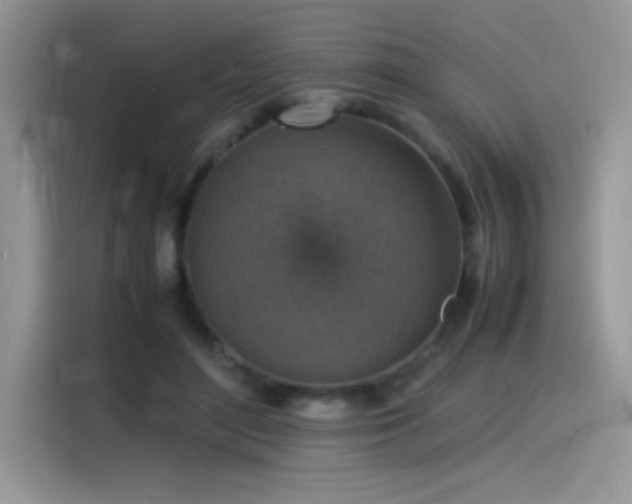 X0000115510500200911131344