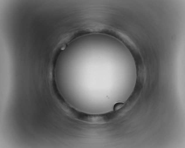 X0000115510501200911131344