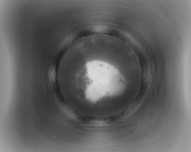 X0000115510502200911131344