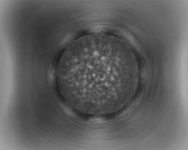 X0000115510503200911131344