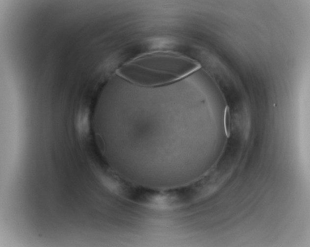 X0000115510504200911131344