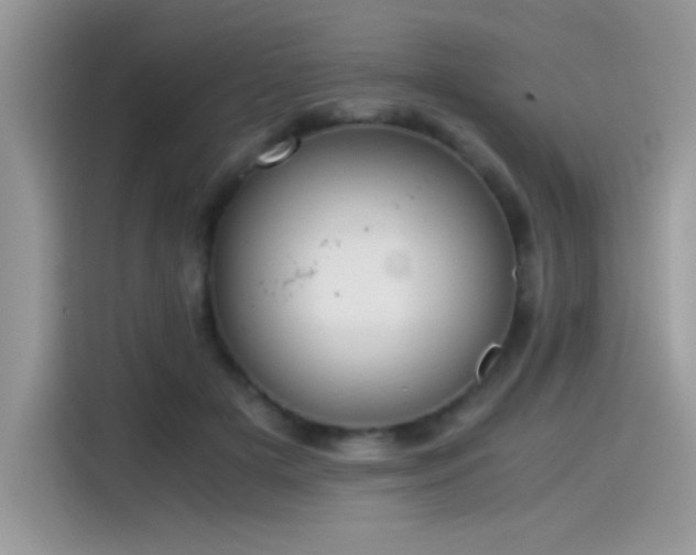 X0000115510505200911131344