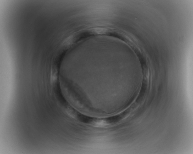 X0000115510507200911131344