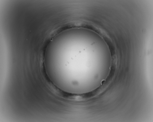 X0000115510509200911131343