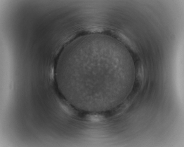 X0000115510512200911131343