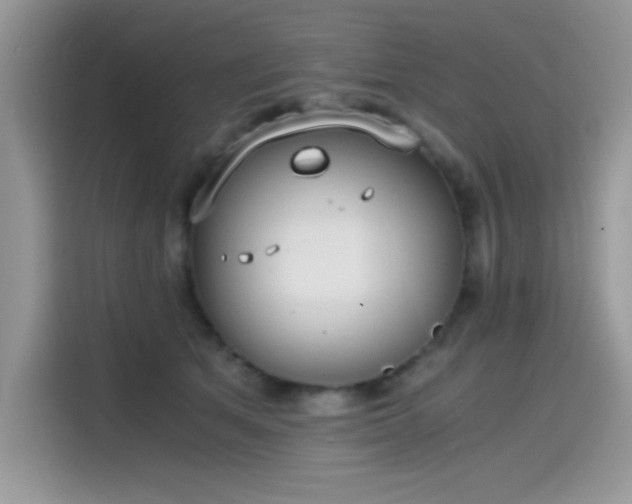 X0000115510513200911131343