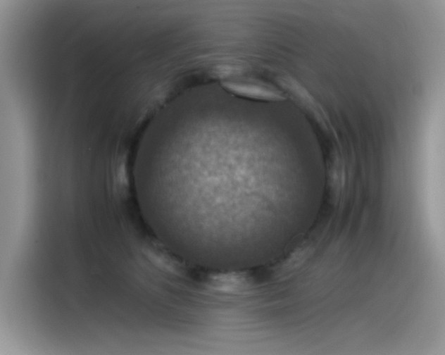 X0000115510516200911131343