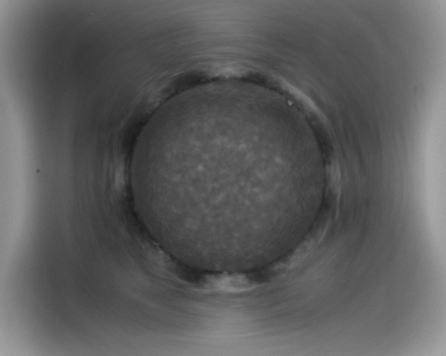 X0000115510517200911131343