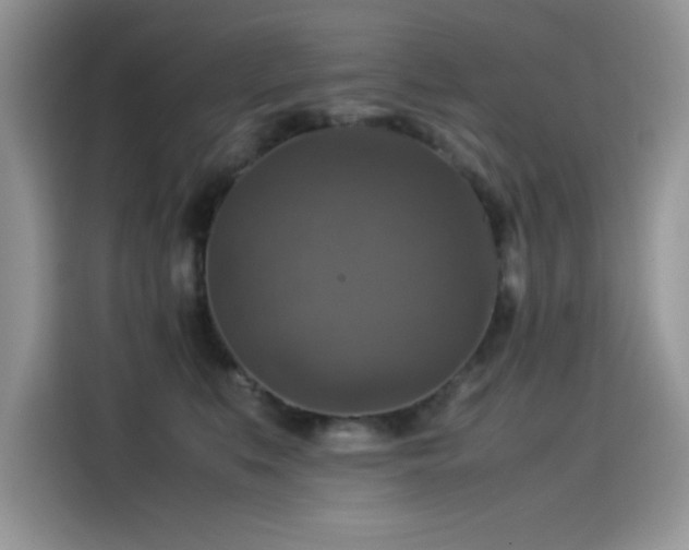 X0000115510519200911131343