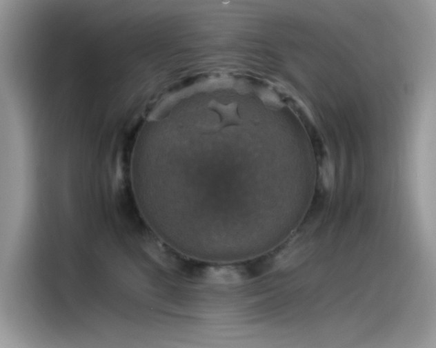 X0000115510520200911131343