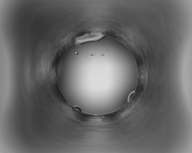 X0000115510523200911131343