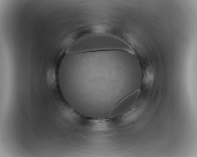 X0000115510524200911131343