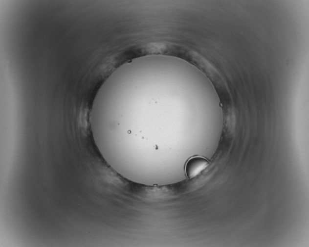 X0000115510525200911131343