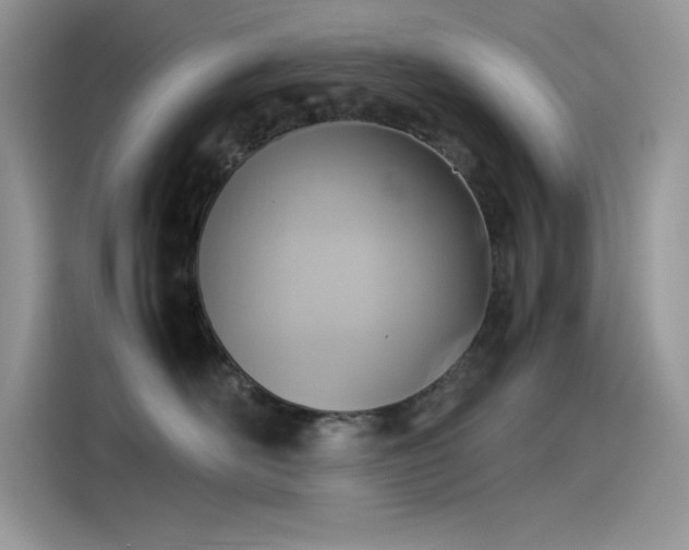 X0000115510526200911131343