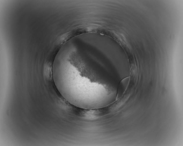 X0000115510527200911131343